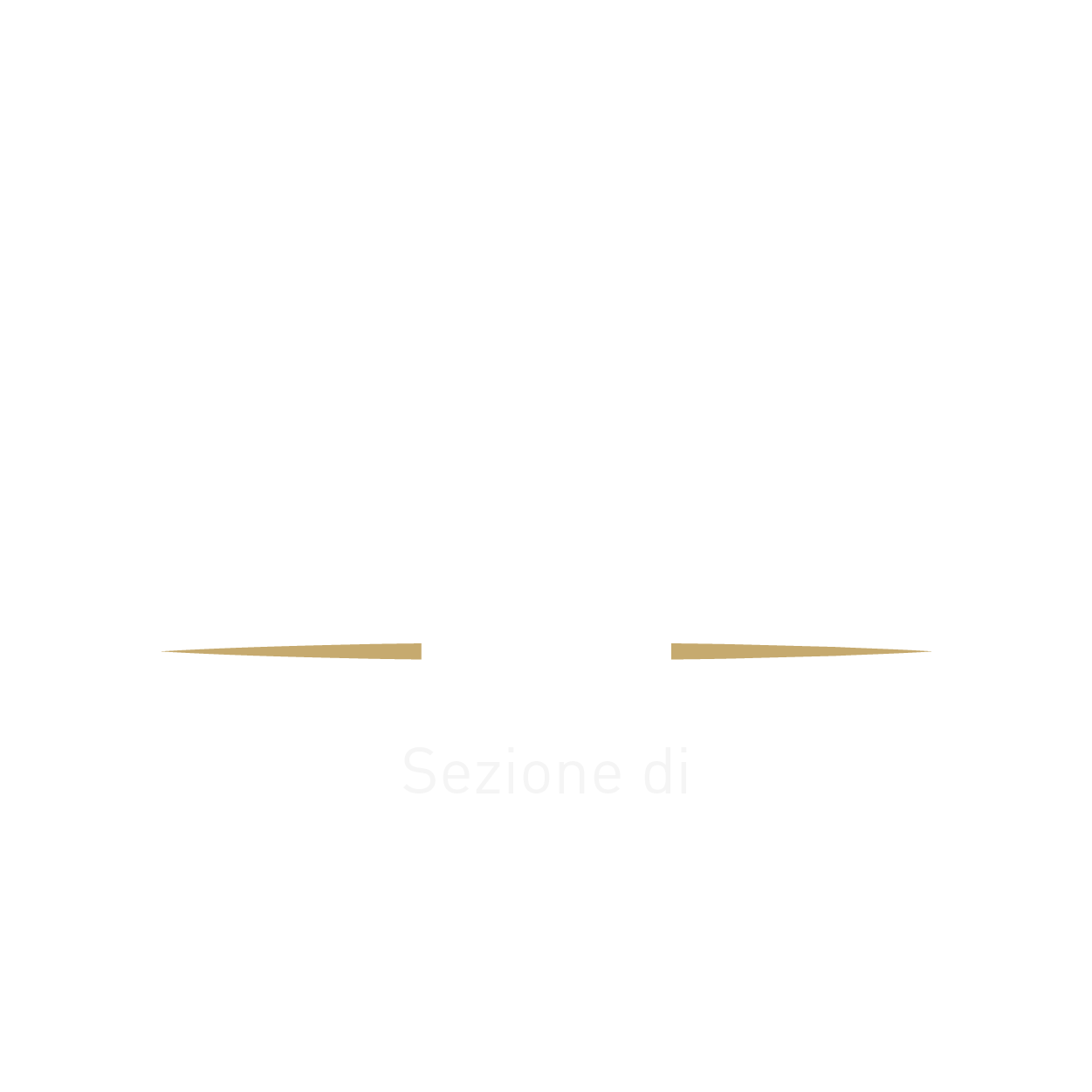 Logo Sezione Viareggio