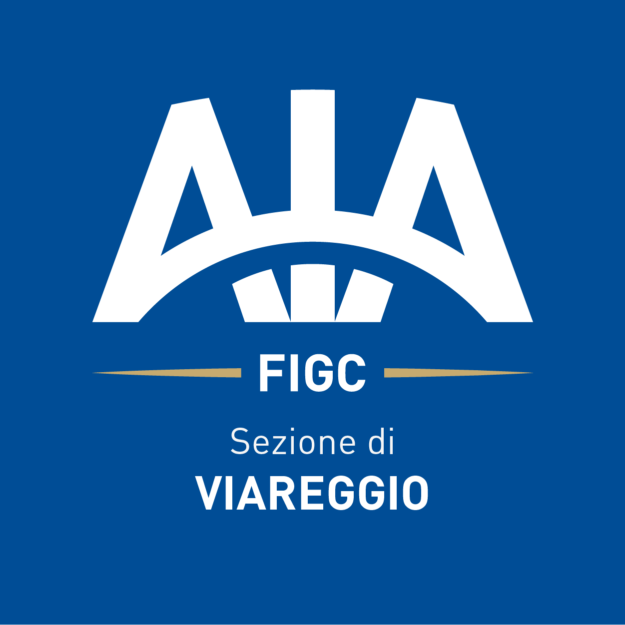 Online il nuovo sito della Sezione AIA Viareggio